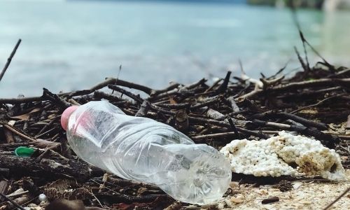 Why black plastic is particularly harmful to the environment and can hardly  be recycled – ecosistant